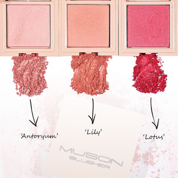 Blusher - Image 2